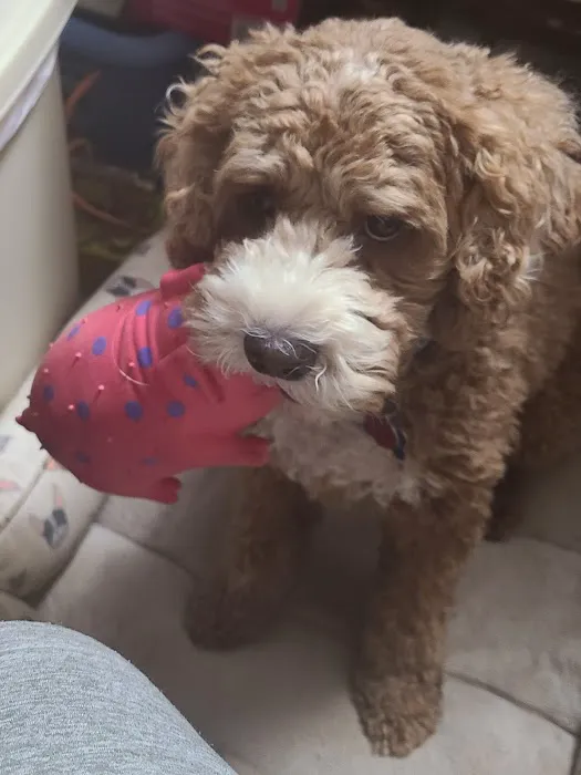 Northwest Veterinary Hospital Picture 3