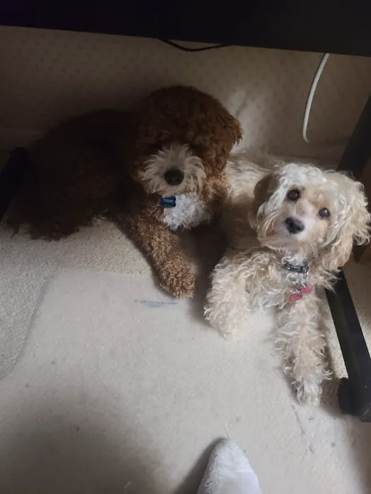 Northwest Veterinary Hospital Picture 4