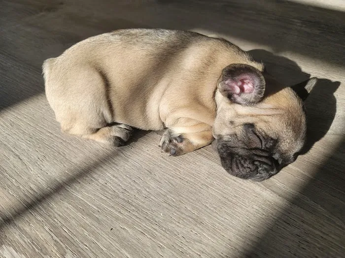 Northwest Veterinary Hospital Picture 2