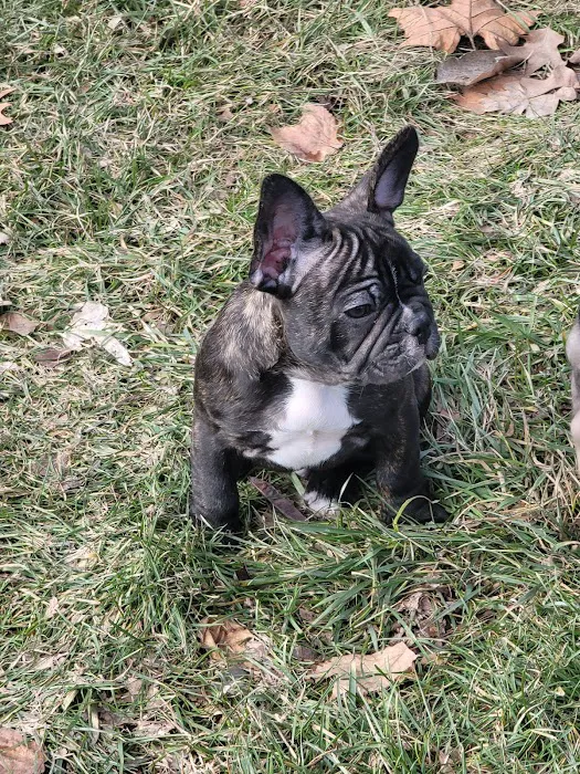 Northwest Veterinary Hospital Picture 5