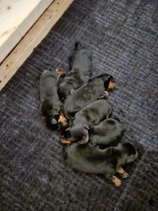 Northwest Veterinary Hospital Picture 6