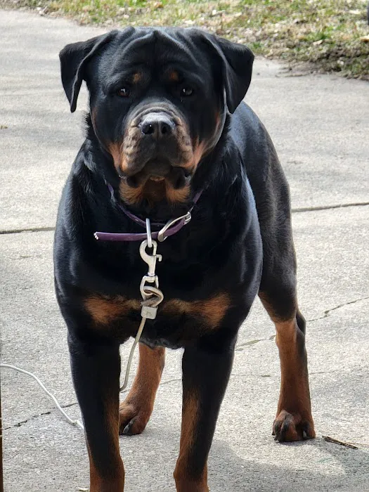 Northwest Veterinary Hospital Picture 7