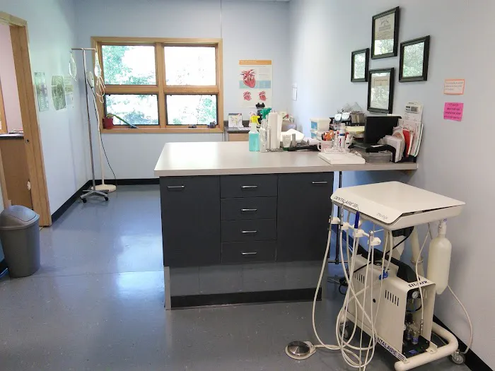 West Side Veterinary Clinic Picture 2