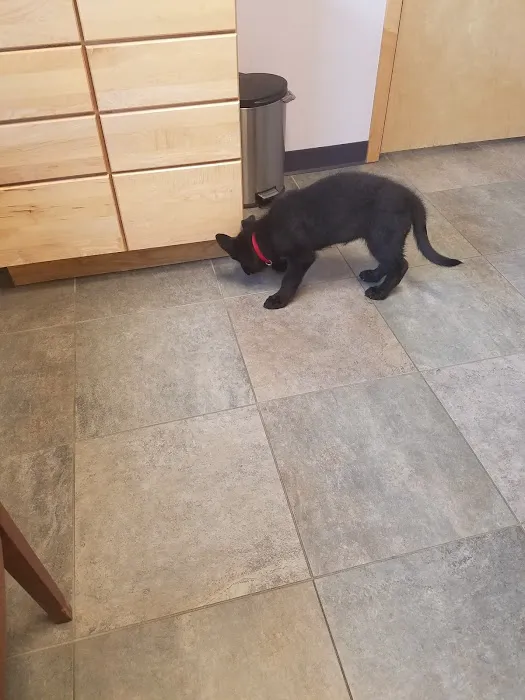 West Side Veterinary Clinic Picture 10