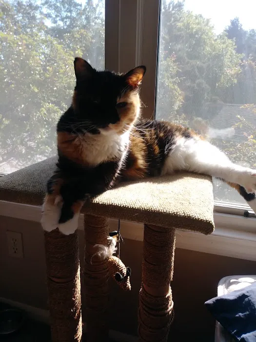 West Side Veterinary Clinic Picture 9