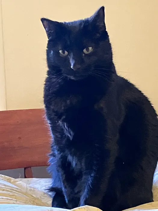 Hickman Road Veterinary Clinic Picture 1