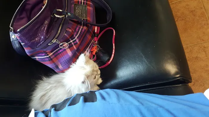 Hickman Road Veterinary Clinic Picture 2