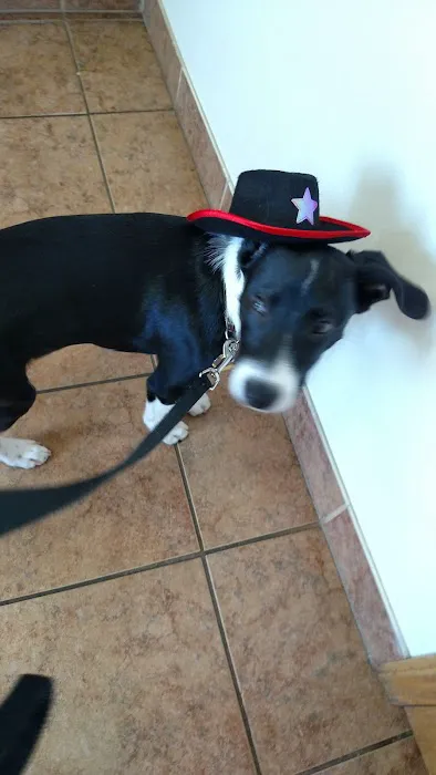 Hickman Road Veterinary Clinic Picture 7