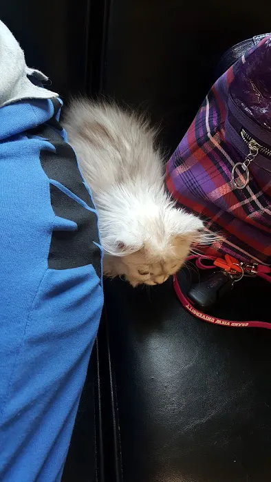 Hickman Road Veterinary Clinic Picture 6