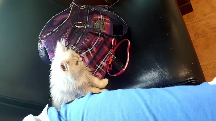 Hickman Road Veterinary Clinic Picture 8