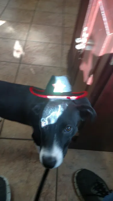 Hickman Road Veterinary Clinic Picture 3