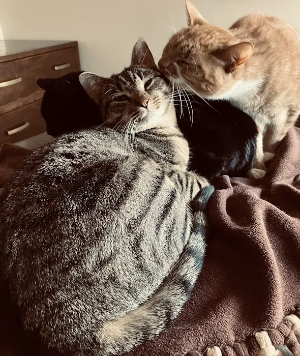 Hickman Road Veterinary Clinic Picture 9