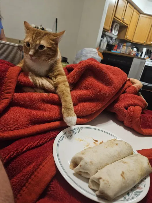 Albia Animal Clinic Picture 1