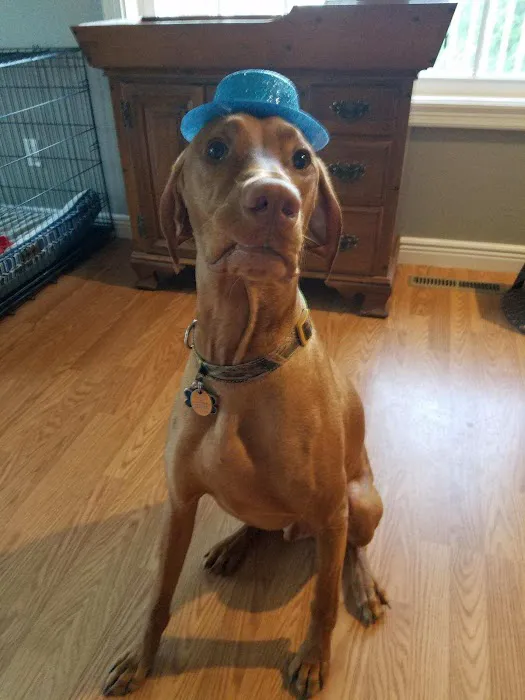 Albia Animal Clinic Picture 4