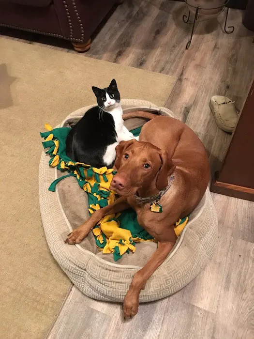 Albia Animal Clinic Picture 3