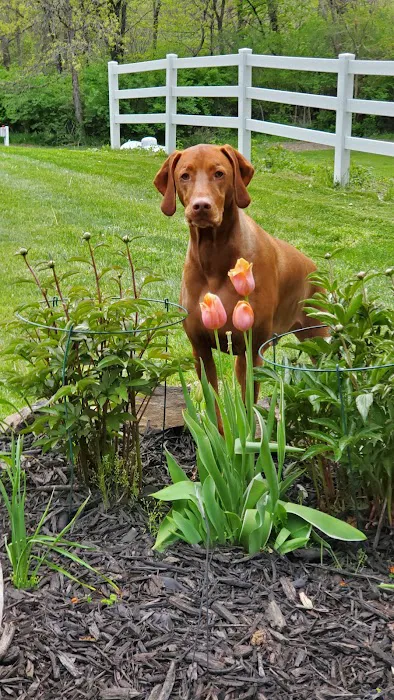 Albia Animal Clinic Picture 6