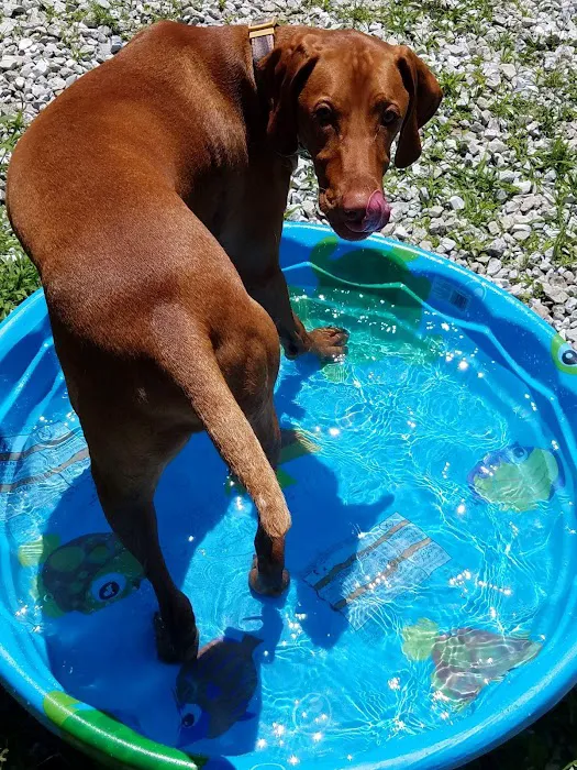 Albia Animal Clinic Picture 5