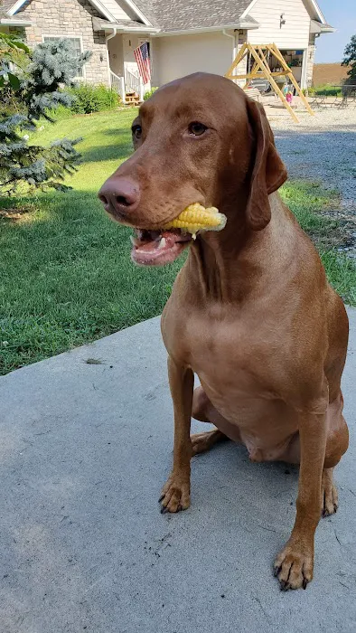 Albia Animal Clinic Picture 7