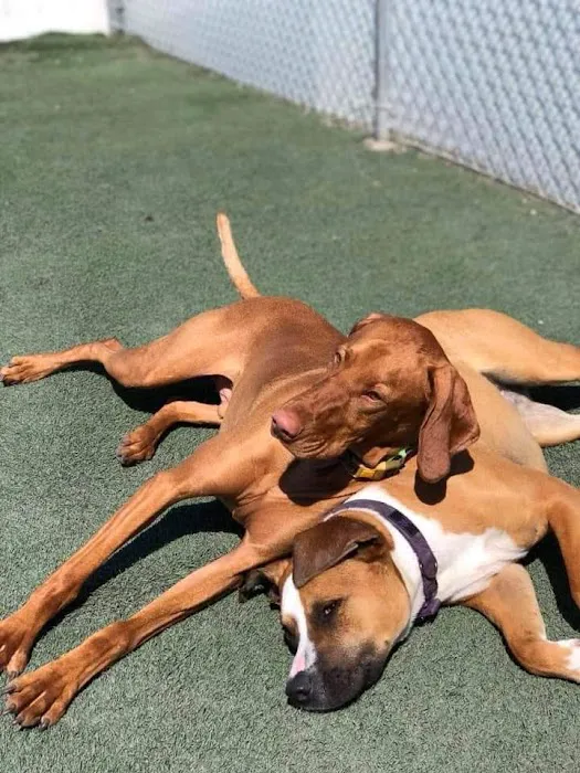 Albia Animal Clinic Picture 8