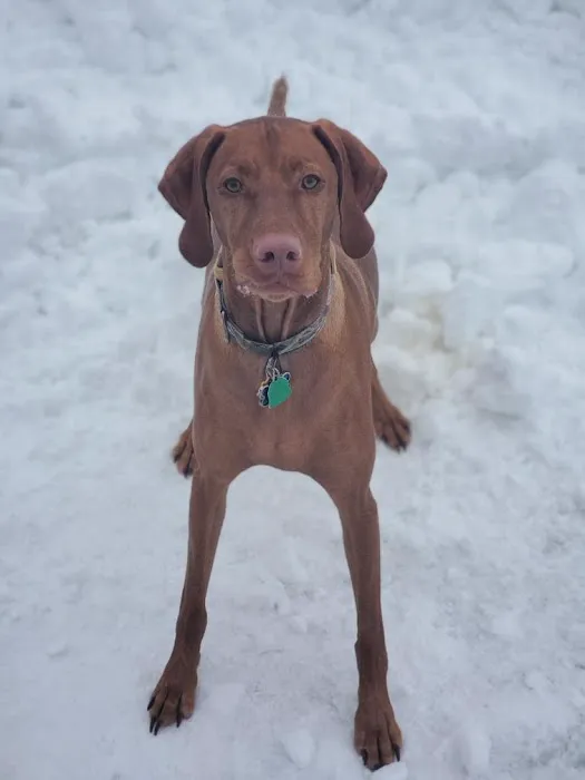 Albia Animal Clinic Picture 9