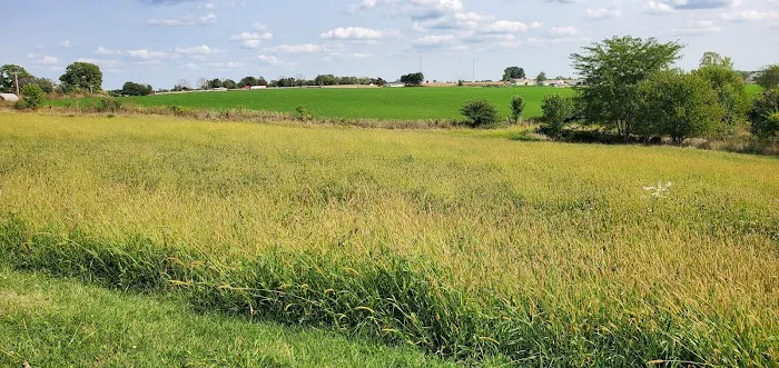 Albia Animal Clinic Picture 10