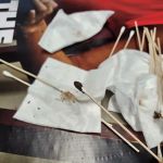 Keokuk County Veterinary Clinic