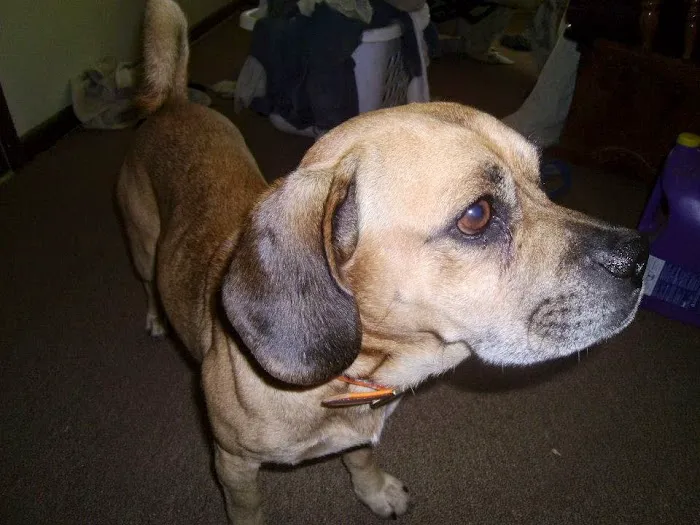 Keokuk County Veterinary Clinic Picture 2