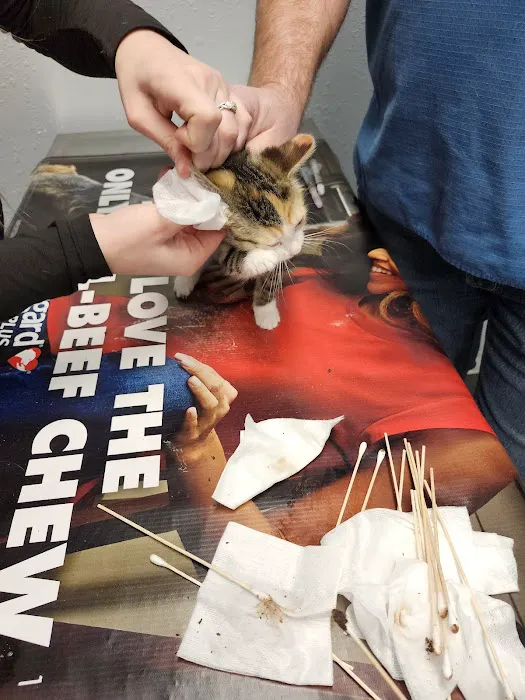 Keokuk County Veterinary Clinic Picture 3