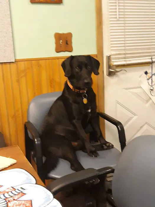 Thomas Veterinary Clinic Picture 1