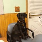 Thomas Veterinary Clinic