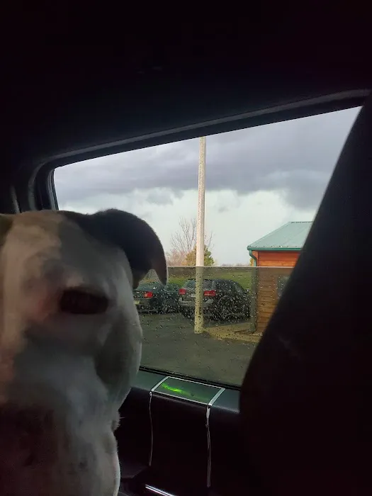 Thomas Veterinary Clinic Picture 4