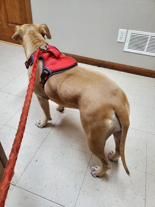 Thomas Veterinary Clinic Picture 5