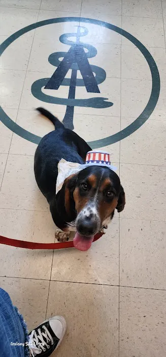 Thomas Veterinary Clinic Picture 3