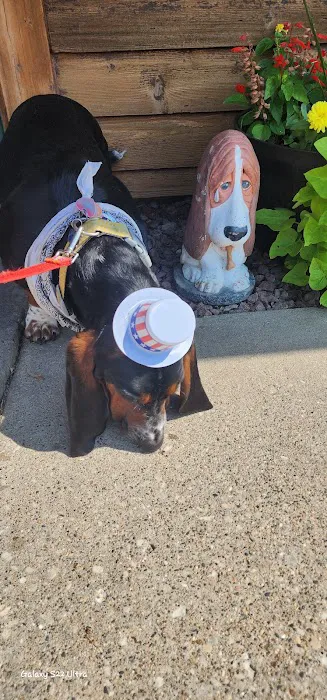 Thomas Veterinary Clinic Picture 7