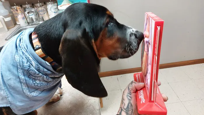 Thomas Veterinary Clinic Picture 8