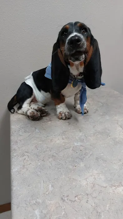 Thomas Veterinary Clinic Picture 9