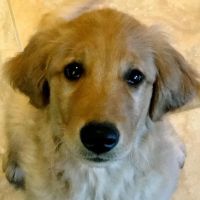 Mishicot Veterinary Clinic ico