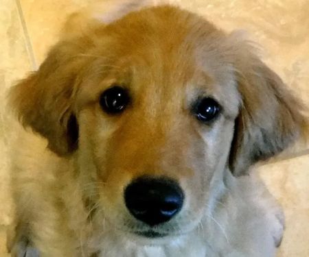 Mishicot Veterinary Clinic