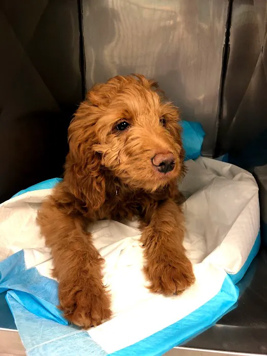 Mishicot Veterinary Clinic Picture 10