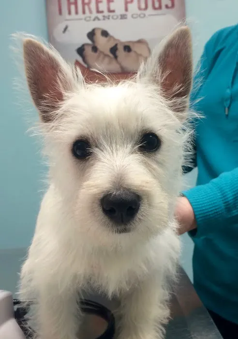 Mishicot Veterinary Clinic Picture 6