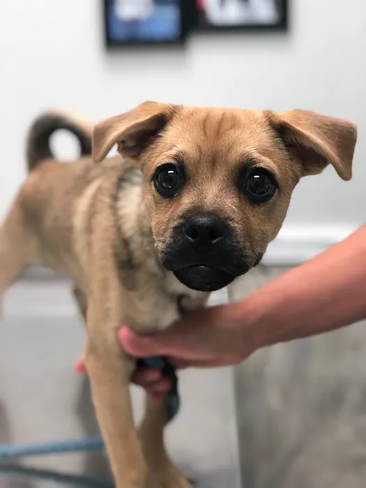 Mishicot Veterinary Clinic Picture 8