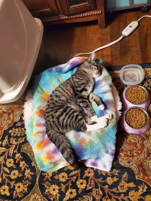 Northeast Wisconsin Veterinary Mleziva R J DVM Picture 3