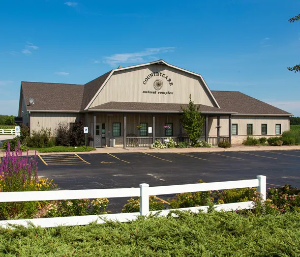 Countrycare Animal Complex Picture 2