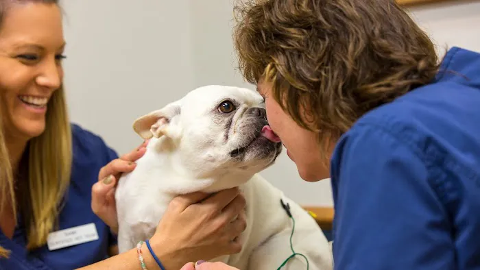 Countrycare Animal Complex Picture 10