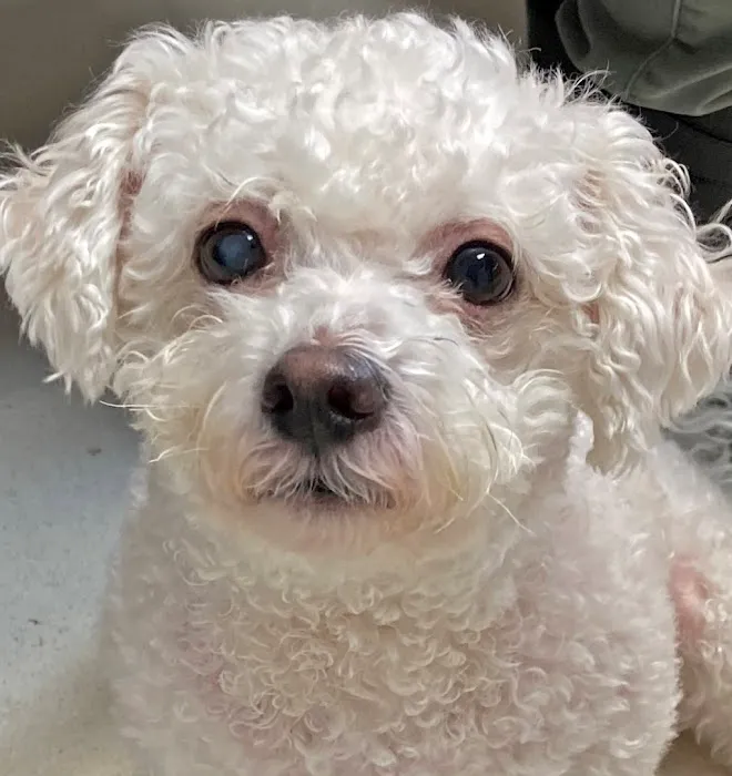 Countrycare Animal Complex Picture 8