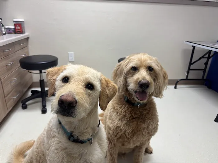 Countrycare Animal Complex Picture 9