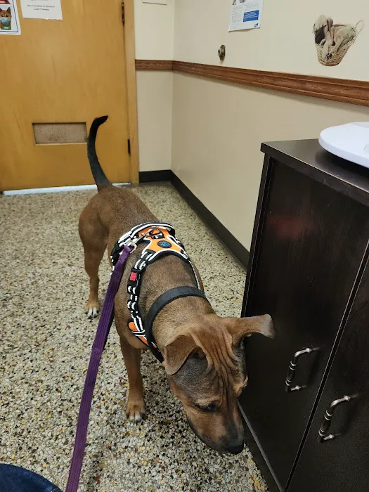 Critter Care Animal Clinic Picture 3