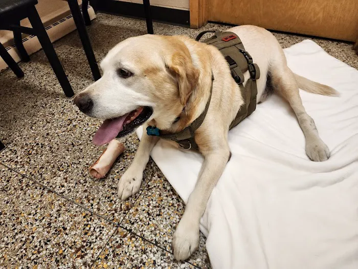 Critter Care Animal Clinic Picture 4