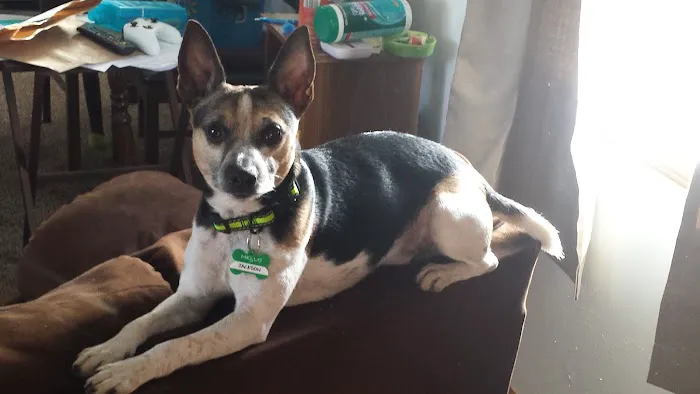 Critter Care Animal Clinic Picture 9