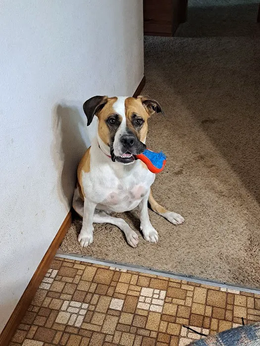 Sheboygan Animal Hospital Picture 1